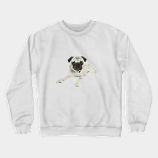 Belle the Pug Crewneck Sweatshirt